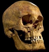 La-fg-wn-richard-iii-remains-20130204-001